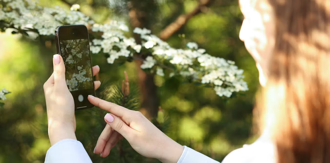 Pоnѕеl dаn tеknоlоgі lainnya dараt meningkatkan hubungan rеmаjа dengan alam