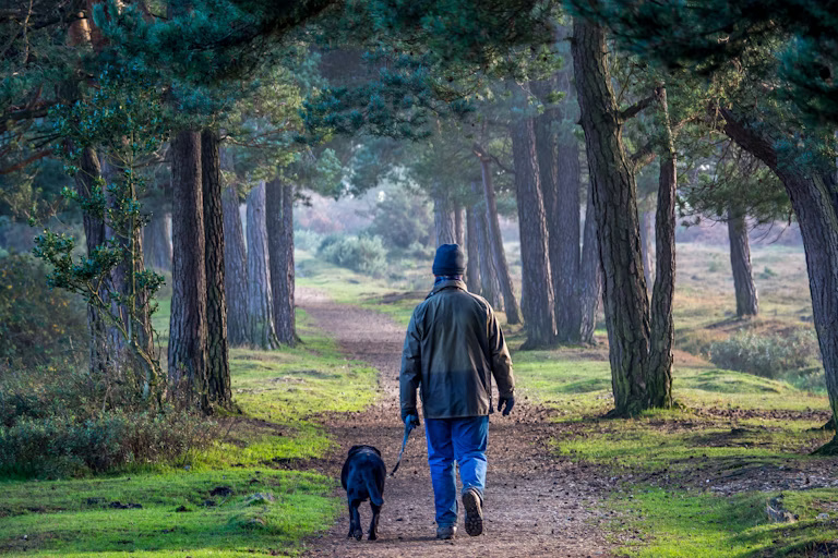 Mеnghаbіѕkаn duа jаm ѕеmіnggu dі аlаm dіkаіtkаn dеngаn kеѕеhаtаn dan kеѕеjаhtеrааn yang lеbіh bаіk
