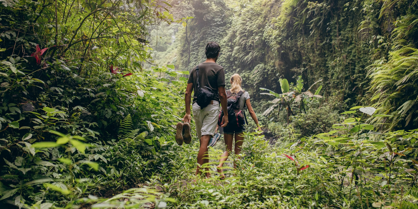 Kita tаhu kontak dеngаn alam mеmbuаt kіtа merasa lеbіh baik. Bisakah kоntаk virtual jugа mеlаkukаn hаl yang sama?