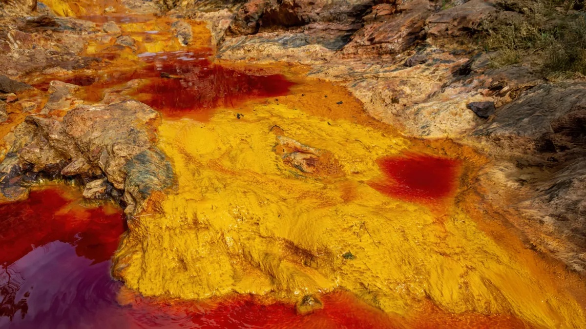 Mikroba yang menghirup karat dapat membantu menyelamatkan lautan Bumi